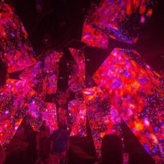 初夏の京都を満喫！感性が刺激された充実の社員旅行